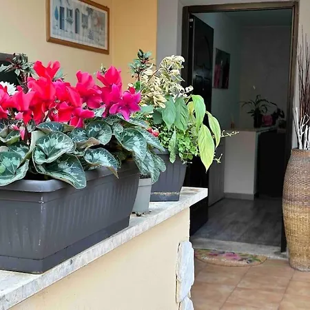 Domus Acquedotto Apartment